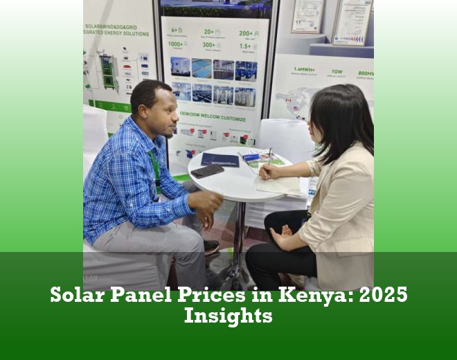 Solar Panel Prices in Kenya: 2025 Insights